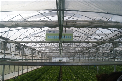 㽭пչ2013ȺʩũҵĿ