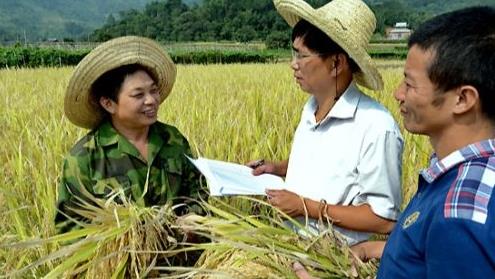 福建闽侯:田间地头话“粮补”