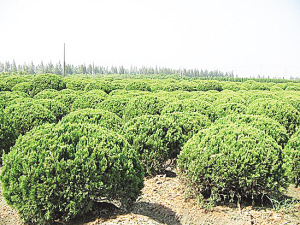 سɾľܼɢأ꽻׶6Ԫ