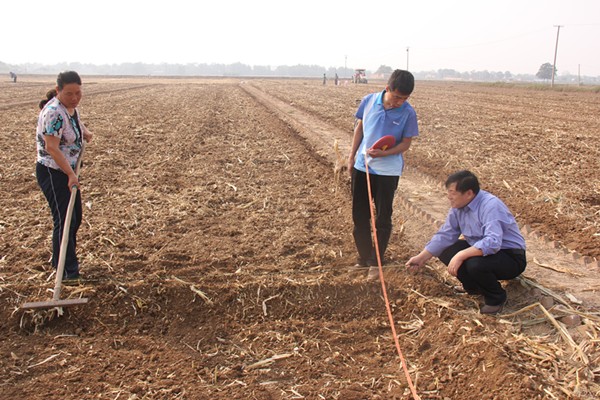 ƽ׼ʾ չʾ䷽ʩʼɹ