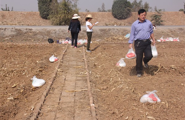 ƽ׼ʾ չʾ䷽ʩʼɹ2