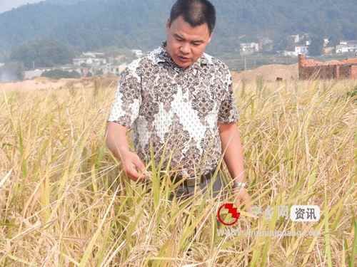 磺ֳġѼס12ԪһֺѼרҵ