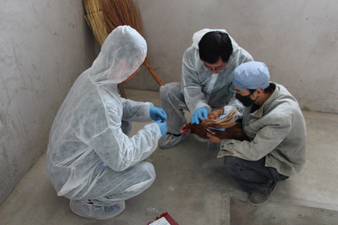 ���������������ҽ�ֿ�չ�＾���߿��������⹤����ͼ��3��