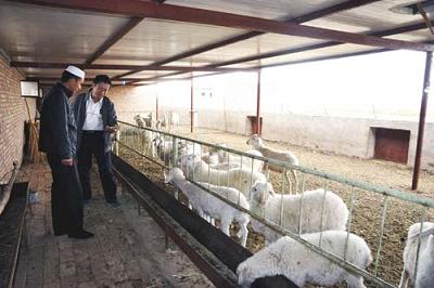 ���������з�������Ⱥ�ڷ�չ��ʩ��ֳҵ