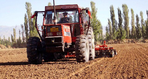 �½����������26��Ķ��С��������