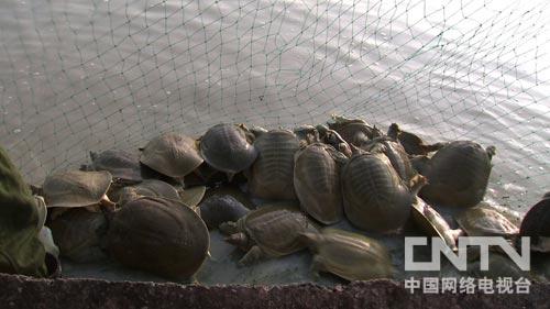 㽭УƲ֮󿿼㷭¸ͼ1