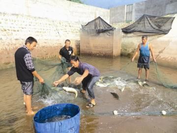 �Ĵ�ާϪ�������壺�ع���ᡰ���̡������¸�·