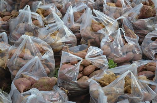 ����ʡ�찲�����ʺ찲����������