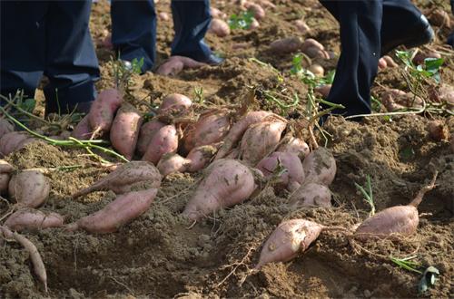 ����ʡ�찲�����ʺ찲����������2