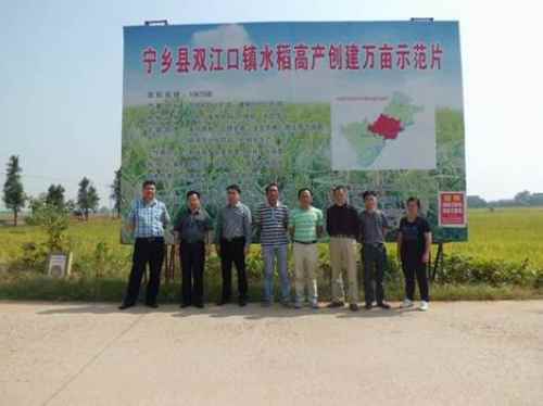 ˮ߲Ŀ˳ͨ ͼΪרҺӰ