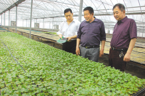 оũҵת ȫʩũҵ9.3Ķ2