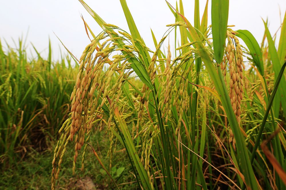 10��16�գ����ڰ���̶ͷ�綫��������ĳ���������