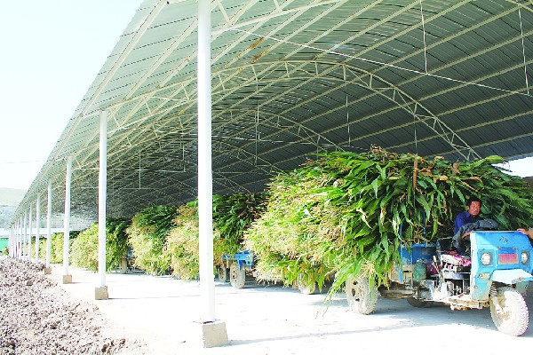 ���࿵������ֳ��ҵ��ũ��ǩ���ǲ���ֲ��ͬ