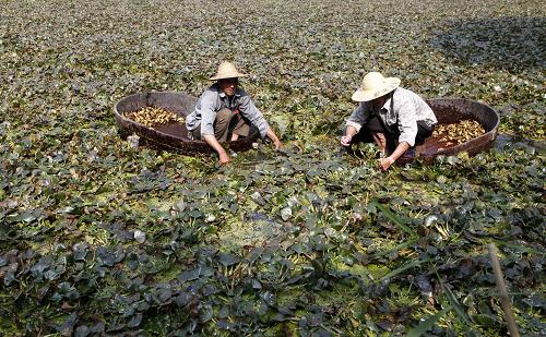 �㽭����ˮ�����æ