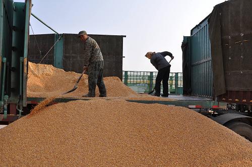 10��23�գ������������ں���������ũ�������������ֲ����ж�ظ��ջ������