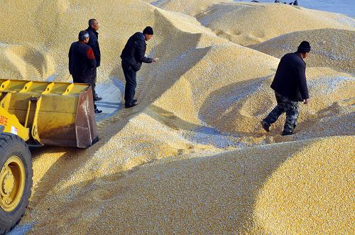 10��23�գ������������ں��н���ũ�����Ĺ�����ְ�����ջ������װ��