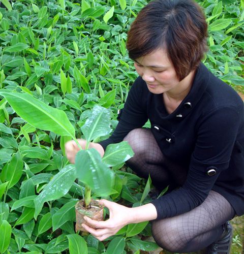 �����ֱ�ũ��Ů���ϼ �����㽶��׬��Ǯ