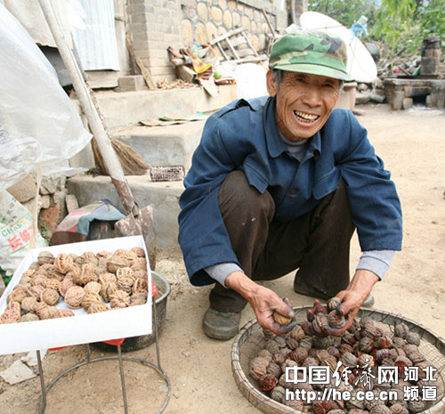 河北丰宁徐国轩:小核桃做出大文章