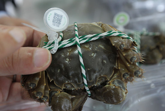 ÿһֻ۵ĳբзͨάѯغֳϢ1023㣩