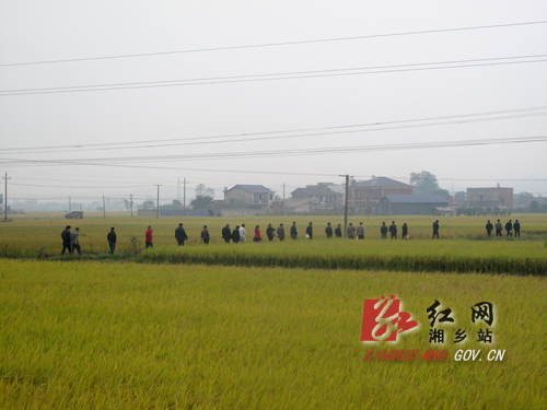 1018գũҵ֯ȫиũԱμˮ߲ʾֳĦ