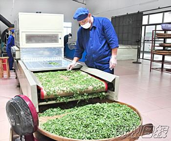 ������ƽ17��Ķ��԰��ֵ��8��