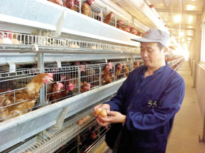 袁坤生:鸡蛋里“挑大梁”