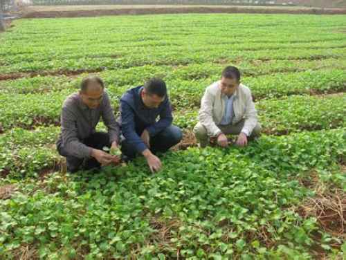 ˮ̲73000Ķʾ㼯Ͳ糤ϲ