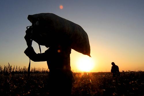 1026գ½ִũҵ԰޹Ÿղժ߳