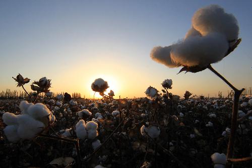 1026գ޹½ִũҵ԰ժ޻