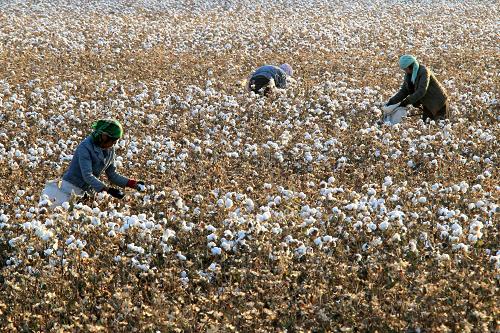 1026գ޹½ִũҵ԰ժ޻