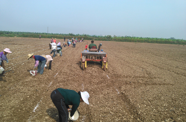 �����������������������ȳ�