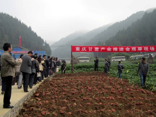 �����ٿ�ȫ�и�����ҵ�ƽ���