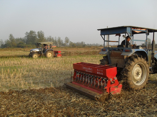 �����쳤��˪����������æ