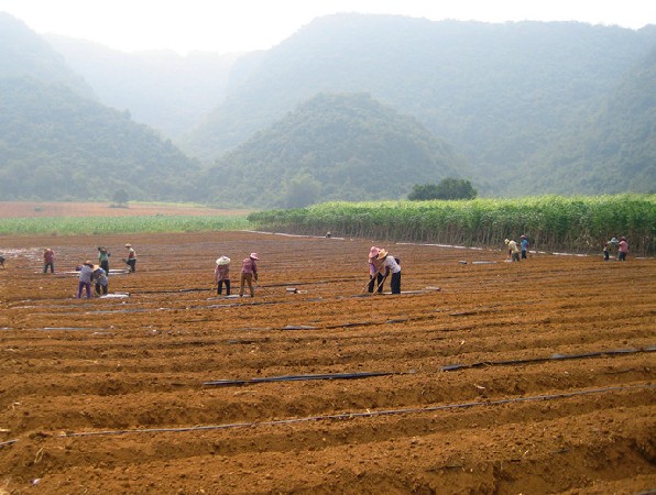 �����������ﶬ�ֹ�����ʵ�ƽ�