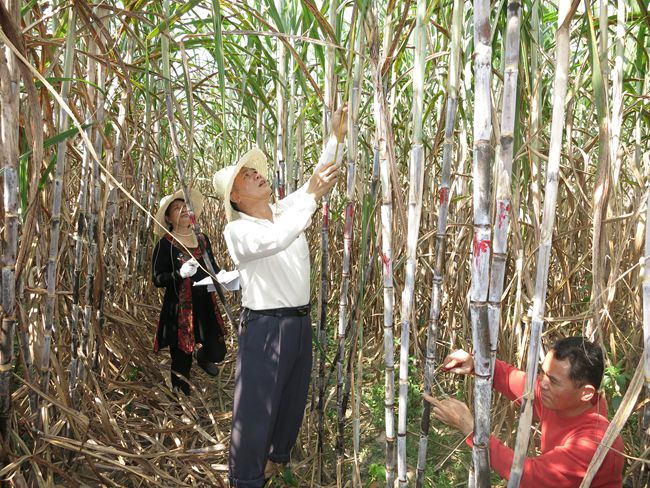 ������������������������ʾ��Ч��