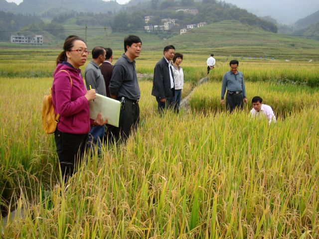 ��������������������ʳ�߲�������Ŀ��Ч��