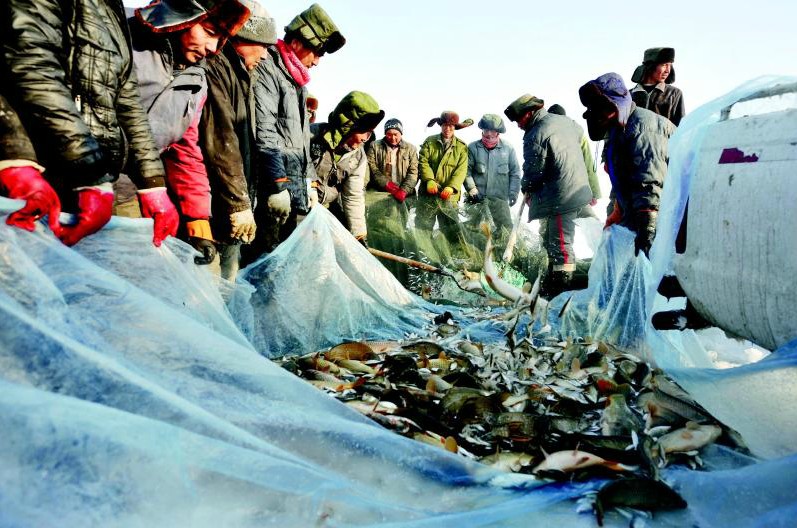 �½���������ҵ��չ̽��·