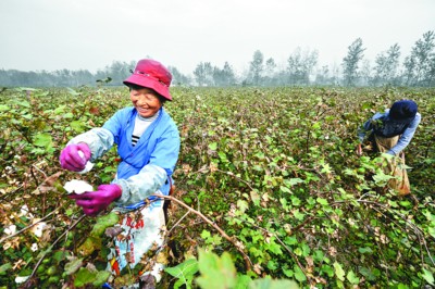 �����������޻�ϲ�����