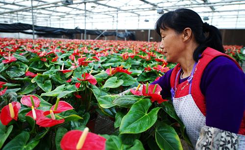 �ӱ���ˮ�����ҿƼ������ִ�ũҵ