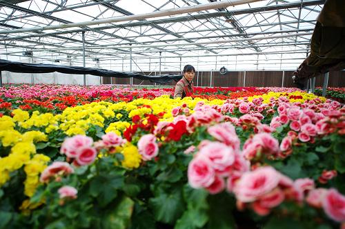 10��30�գ�������Ա�ڵ�ׯũҵ�Ƽ�ʾ��԰�������Ժ���