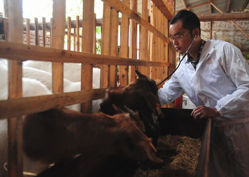 �Ĵ��ڽ���80������������������ʡ�