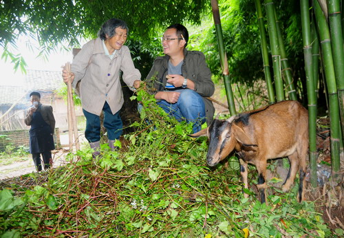 �Ĵ��ڽ���80������������������ʡ�2