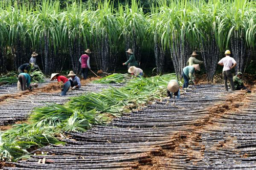 1030գ˼˼򻪼ӴȺڿչᡣ