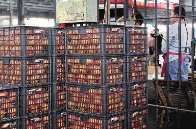 福建福州查封销毁一批染色赣南脐橙