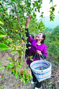 ȫز5000ֵ֣2.5ԪΪũ¸