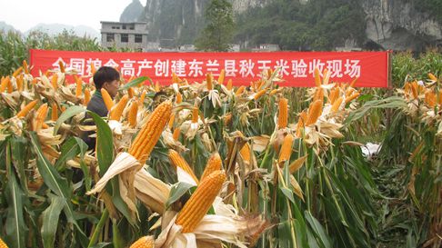 ���������������׸߲�����ʾ��Ƭ��÷���