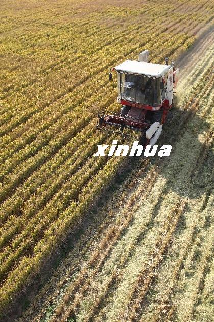 1030գɽ̨ԶвׯּҴʹջջл