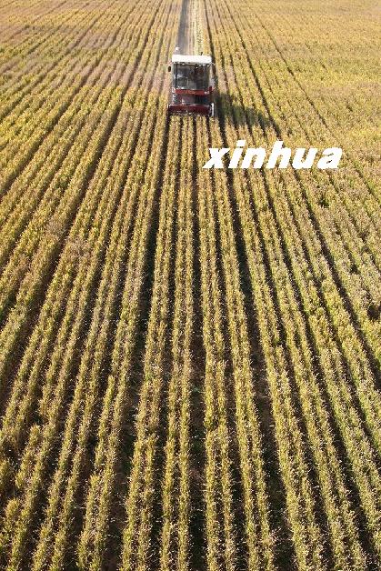 1030գɽ̨ԶвׯּҴʹջջл