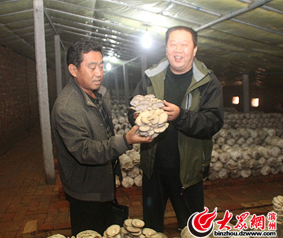 ʡҵɡһǡع⣨ңɽӴűժԼĢЦúϲ£