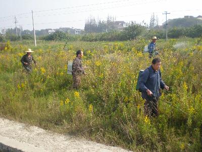 �㽭�����ؼ��ô�һ֦�ƻ��＾�����ж�ȫ��չ��